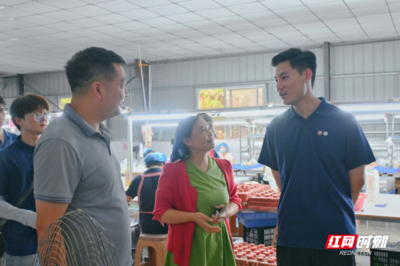 合拍的00后&middot;三下乡丨岩园村的 &ldquo;玩具经纬&rdquo;:一针一线,织就乡村振兴的温暖图景