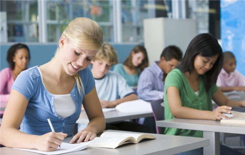 教育咨询月总结开头 精准高效的开篇指南