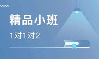 武汉精品小班辅导选择指南 卓美教育、淘学培训特色与价格解析